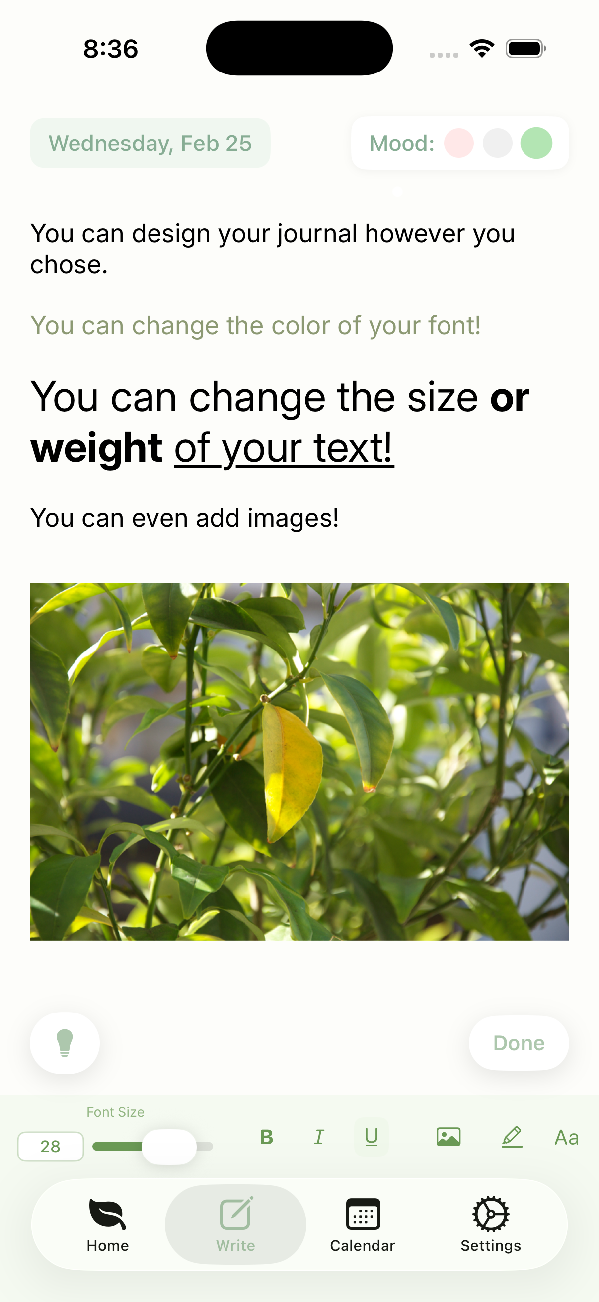 Seedlit custom formatting